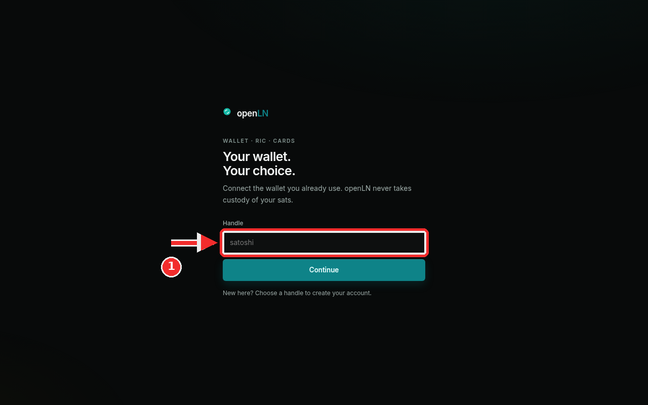 The openLN start screen with the handle field boxed in red