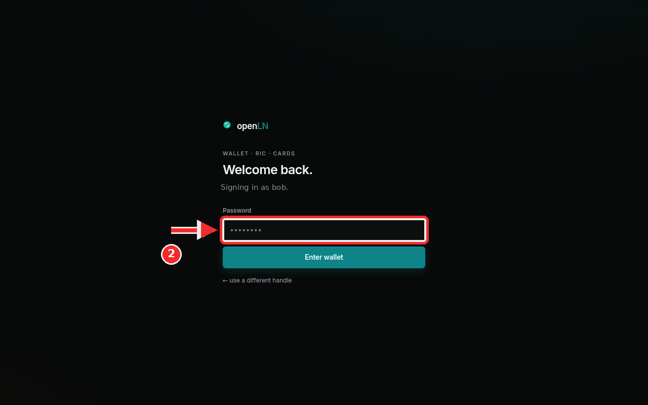 The password screen with the password field boxed in red