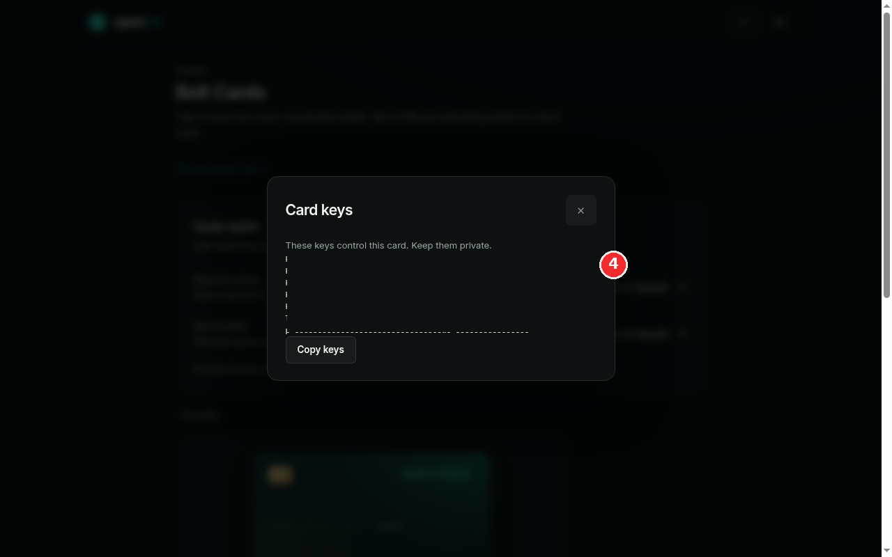 Card keys modal with the warning to keep the keys private and the key values hidden