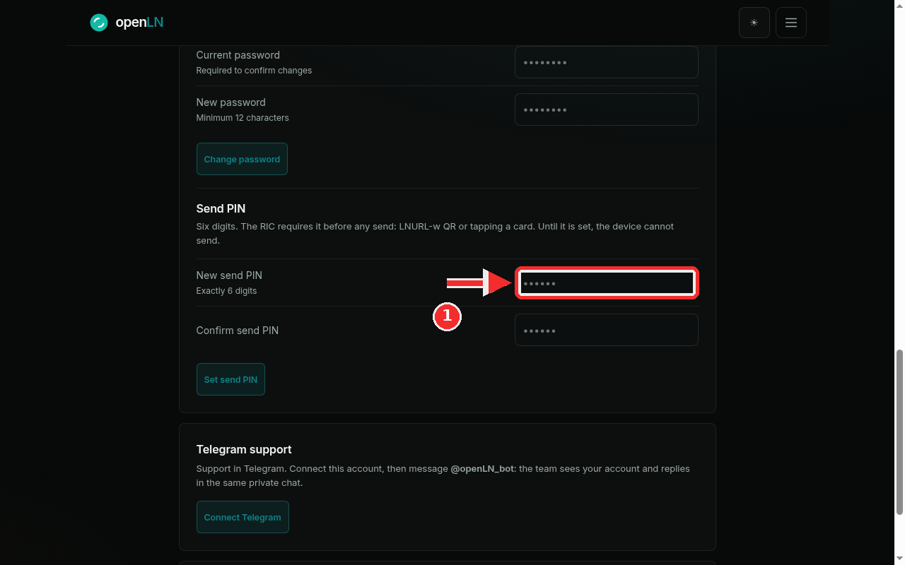 The New send PIN field in the Security card with its red highlight
