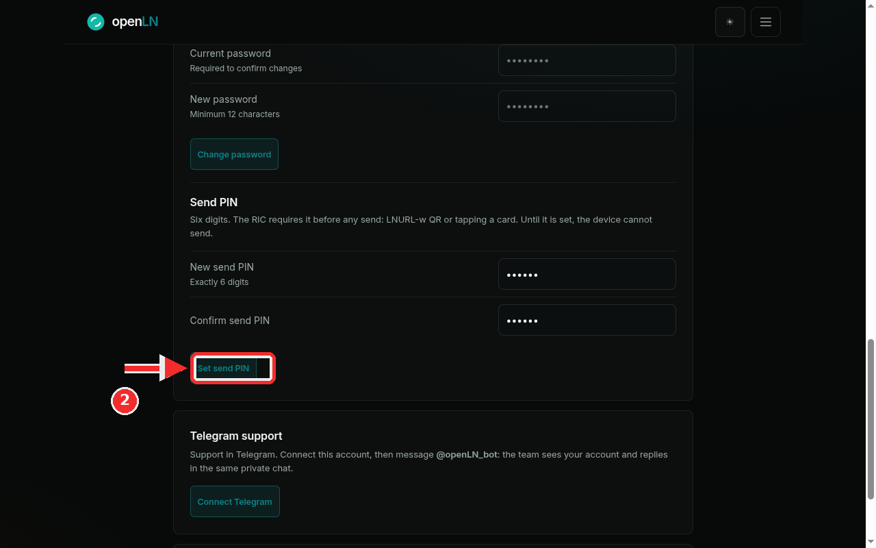 Both send PIN fields filled, with the Set send PIN button highlighted