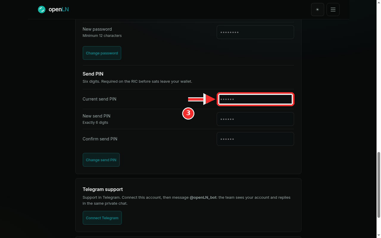 The saved Send PIN card with the Current send PIN field and the Change send PIN button