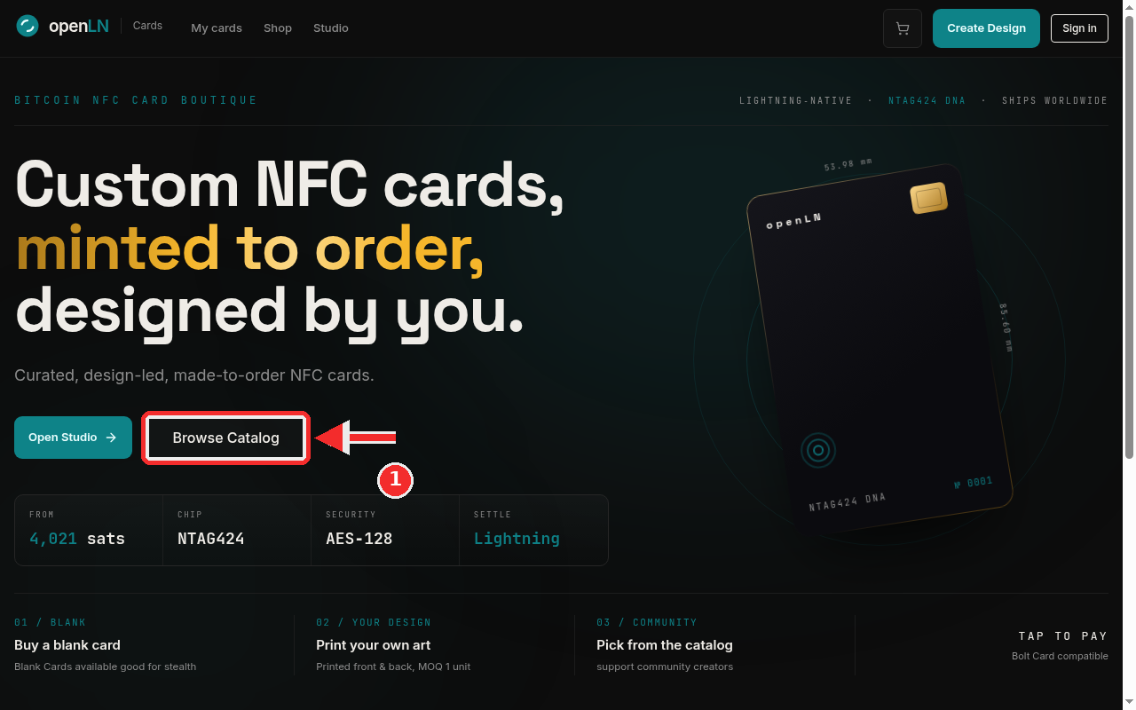 Shop home with the Browse Catalog button boxed in red