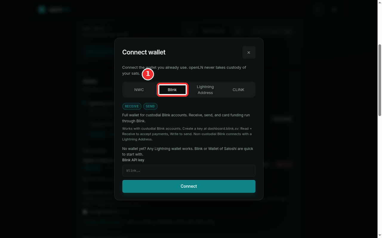 Connect wallet dialog with the Blink tab highlighted