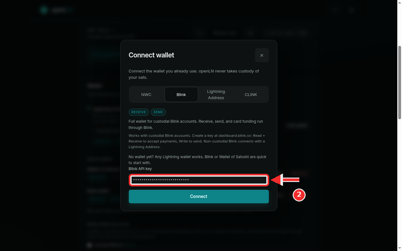 Blink API key field with a key typed in, highlighted