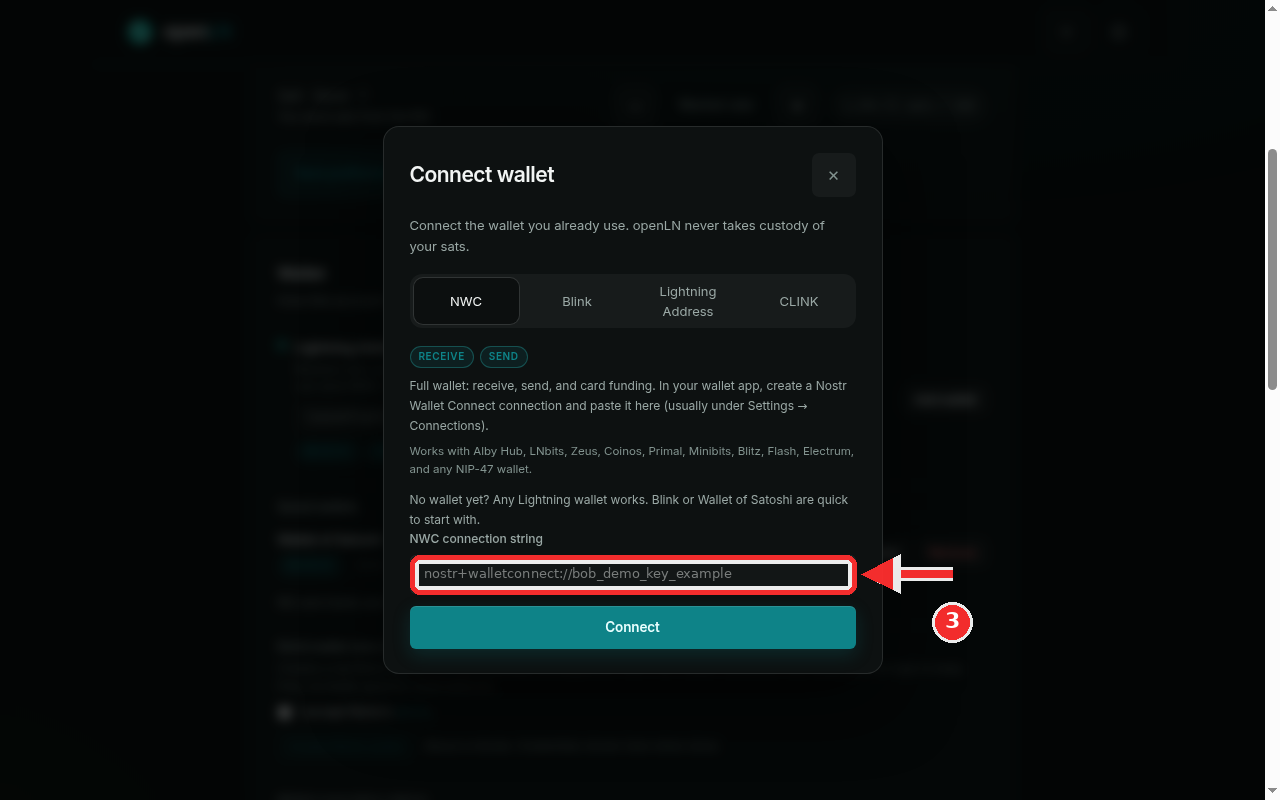 NWC connection string field with a demo string entered