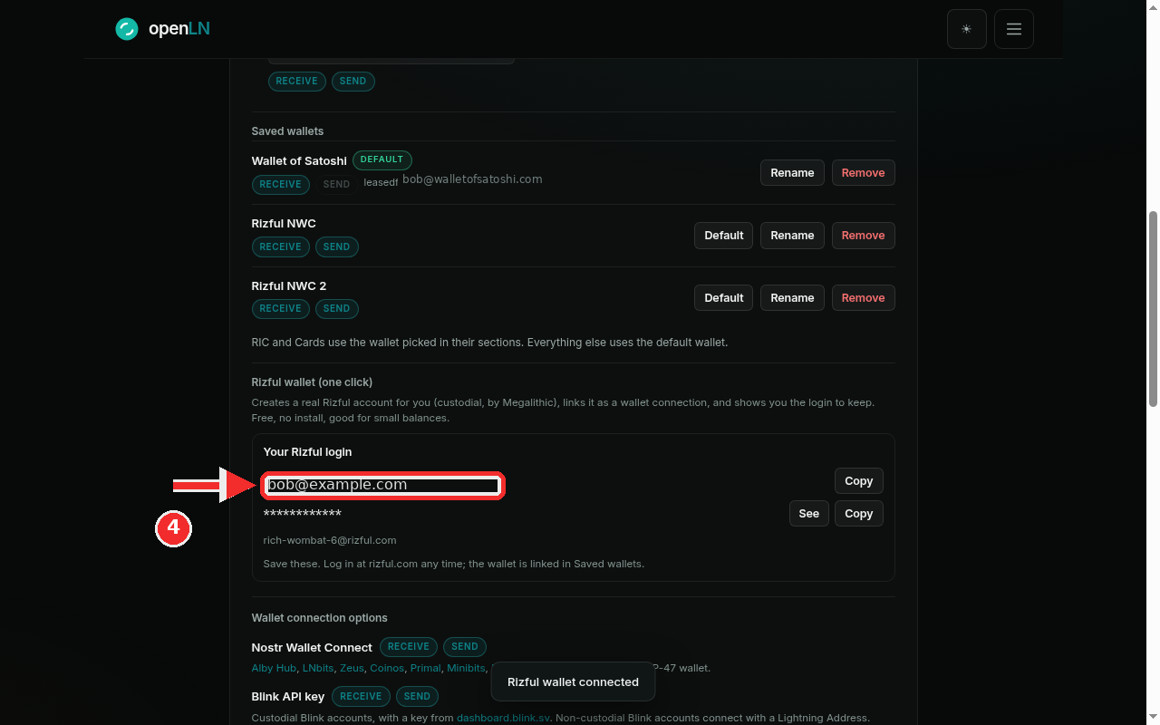 The Your Rizful login box with the email highlighted, a masked password with See and Copy buttons, and the wallet handle below