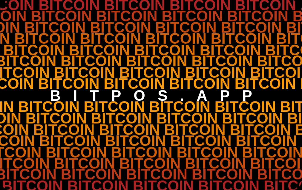 openLN card design bitPOS #2